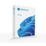 Win Home 11 32/64 Bit EN USB (HAJ-00109)