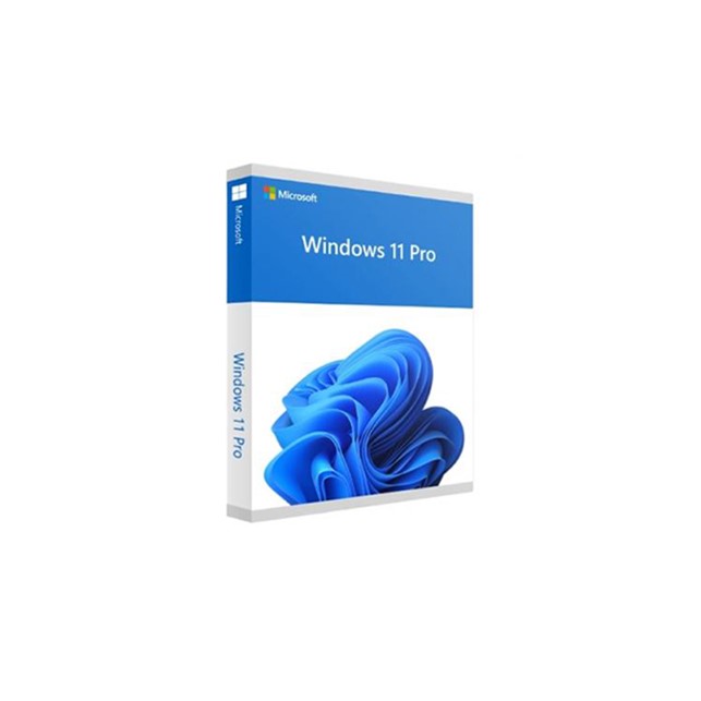 Win 11 Pro 64Bit Eng Intl 1pk DSP OEI DVD